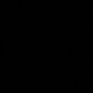 Meet your Posher, Fatiah